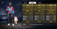 Ranked stats